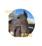 luck sen kid（個別スタンプ：5）