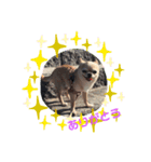 luck sen kid（個別スタンプ：6）