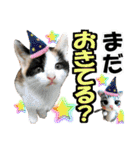 ゆかいなにゃんこ6★友達との日常会話★（個別スタンプ：22）