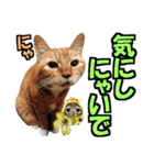 ゆかいなにゃんこ6★友達との日常会話★（個別スタンプ：23）