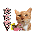 ゆかいなにゃんこ6★友達との日常会話★（個別スタンプ：25）