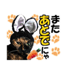 ゆかいなにゃんこ6★友達との日常会話★（個別スタンプ：39）