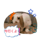 うさりおスタンプ2（個別スタンプ：6）