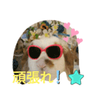 うさりおスタンプ2（個別スタンプ：7）