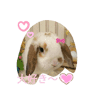 うさりおスタンプ2（個別スタンプ：8）
