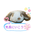 うさりおスタンプ2（個別スタンプ：10）