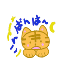 猫のとらきちスタンプ（個別スタンプ：9）