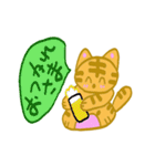 猫のとらきちスタンプ（個別スタンプ：17）
