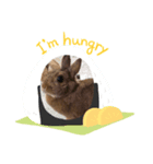 うさぎのひなちゃん（個別スタンプ：1）