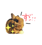 うさぎのひなちゃん（個別スタンプ：6）