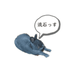 うさぎのひなちゃん（個別スタンプ：8）