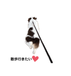 ポニョ。（個別スタンプ：2）