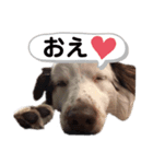 ポニョ。（個別スタンプ：8）