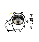 bell ＆ Bell（個別スタンプ：8）