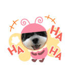 bell ＆ Bell（個別スタンプ：9）