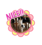 bell ＆ Bell（個別スタンプ：10）