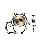 bell ＆ Bell（個別スタンプ：20）