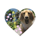 I am みいなdog.（個別スタンプ：1）