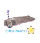 I am みいなdog.（個別スタンプ：4）