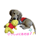 I am みいなdog.（個別スタンプ：5）