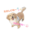 I am みいなdog.（個別スタンプ：6）