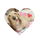 I am みいなdog.（個別スタンプ：11）
