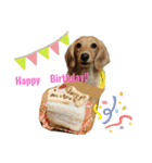 I am みいなdog.（個別スタンプ：14）