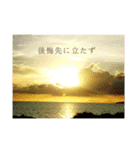 oishiuresi（個別スタンプ：8）