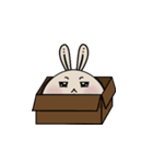 兎治（個別スタンプ：39）