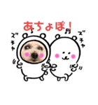 ちょらのすたんぷ（個別スタンプ：3）