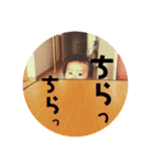kc part2（個別スタンプ：16）