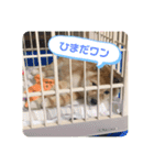 ともぞうだよー（個別スタンプ：1）