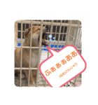ともぞうだよー（個別スタンプ：2）
