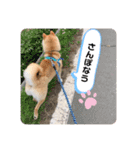 ともぞうだよー（個別スタンプ：10）