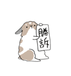 こはタイム 公開版（個別スタンプ：3）