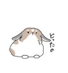 こはタイム 公開版（個別スタンプ：4）