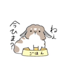 こはタイム 公開版（個別スタンプ：8）