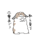 こはタイム 公開版（個別スタンプ：14）