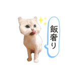 コンくんスタンプ2（個別スタンプ：2）