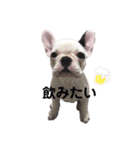 サラミー③（個別スタンプ：6）
