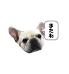 サラミー③（個別スタンプ：10）