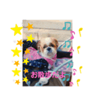 ずっと一緒にね（個別スタンプ：1）