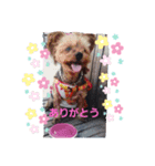 ずっと一緒にね（個別スタンプ：2）