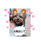 ずっと一緒にね（個別スタンプ：4）