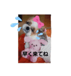 ずっと一緒にね（個別スタンプ：5）