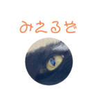 クロちゃんスタンプ 1（個別スタンプ：6）