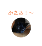 クロちゃんスタンプ 1（個別スタンプ：7）