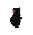 黒猫ルナVol.2（個別スタンプ：2）