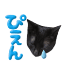 黒猫ルナVol.2（個別スタンプ：5）