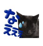 黒猫ルナVol.2（個別スタンプ：6）